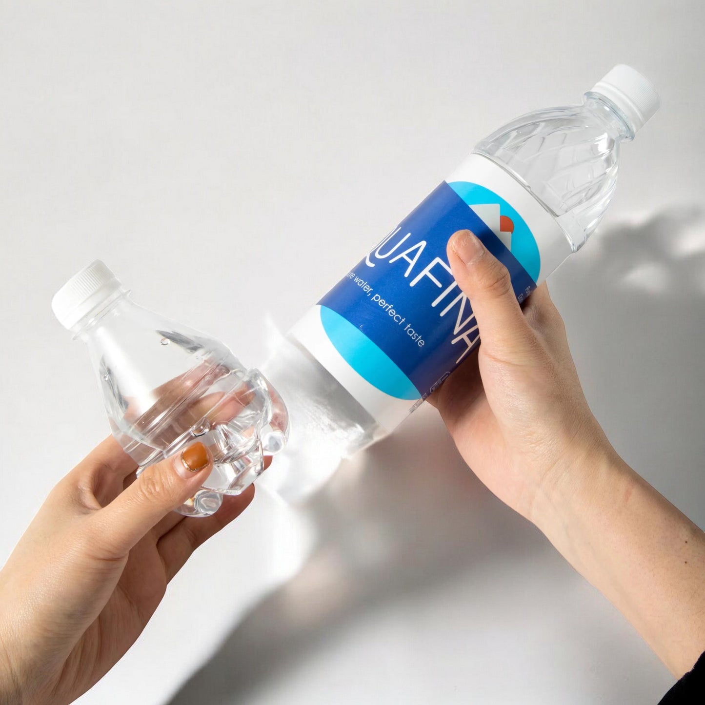 Aquafina Water Bottle Diversion Safe – Secure, Discreet, and Smell-Proof